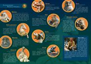 Putování Žďárskem za plastikami Michala Olšiaka.
Dodavatel – JUDACREATIVE – Václav Juda